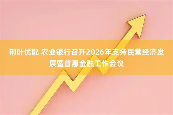 荆叶优配 农业银行召开2026年支持民营经济发展暨普惠金融工作会议