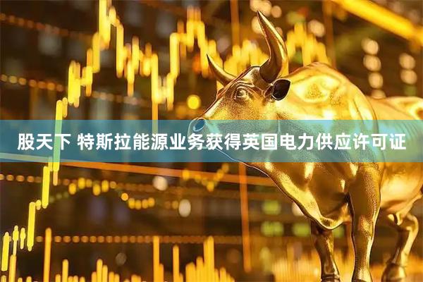 股天下 特斯拉能源业务获得英国电力供应许可证