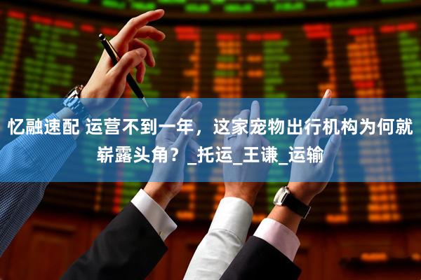 忆融速配 运营不到一年，这家宠物出行机构为何就崭露头角？_托运_王谦_运输