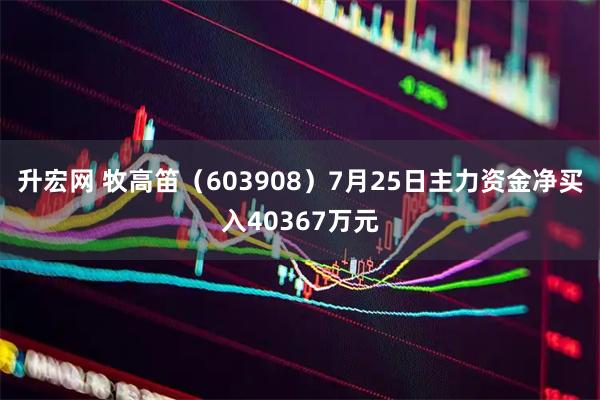升宏网 牧高笛（603908）7月25日主力资金净买入40367万元