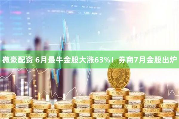 微豪配资 6月最牛金股大涨63%！券商7月金股出炉