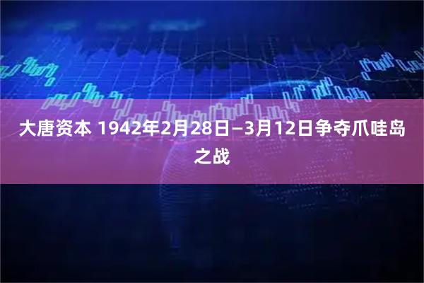 大唐资本 1942年2月28日—3月12日争夺爪哇岛之战
