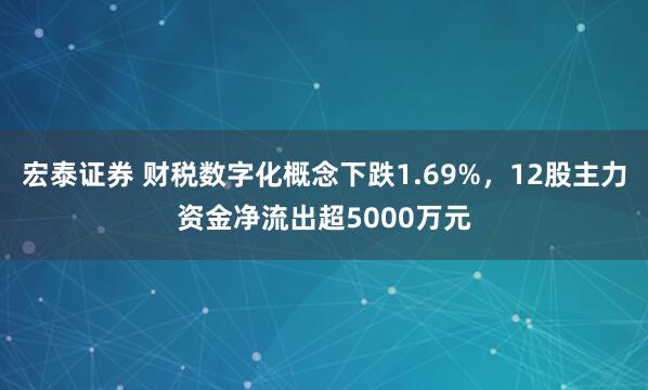 宏泰证券 财税数字化概念下跌1.69%，12股主力资金净流出超5000万元