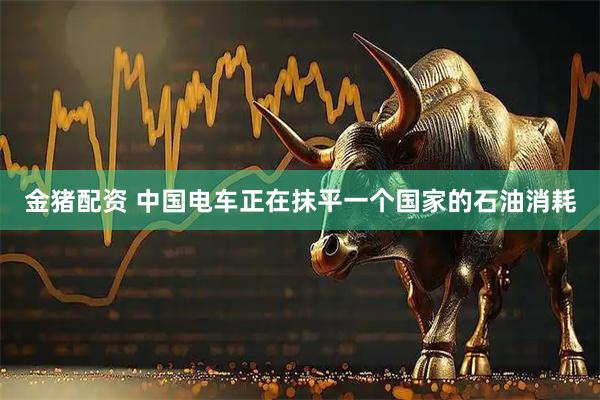 金猪配资 中国电车正在抹平一个国家的石油消耗